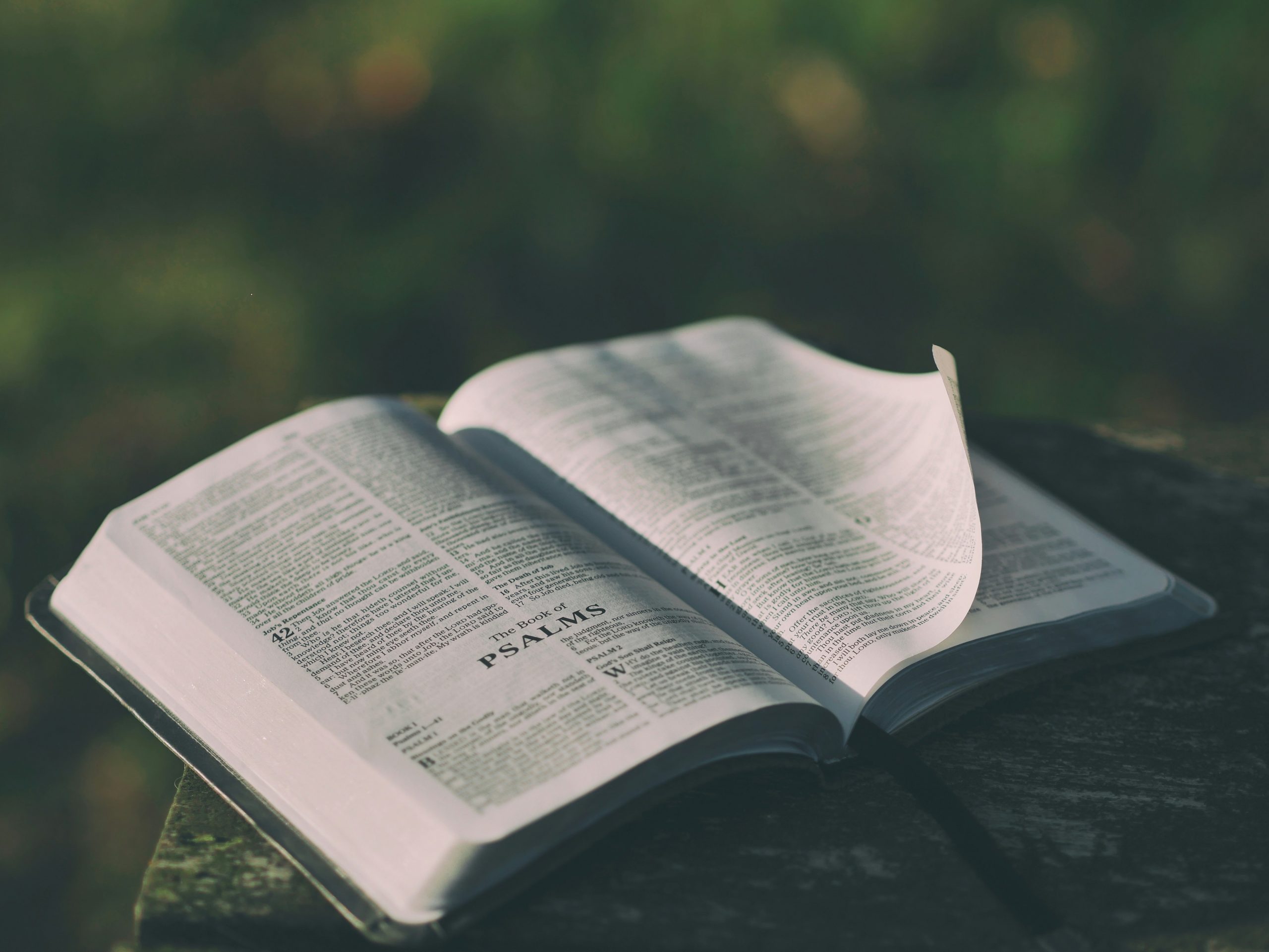 DT 4: Psalmi